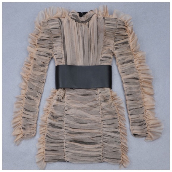 💕 The Solma Runway Pleated Tulle Dress - Picture 4 of 8